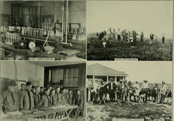 1913 Revilee_Students doing ag work